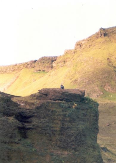 ../Images/243Vik i Myrdal.jpg